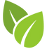 A digital graphic of two overlapping green leaves on a solid white background.