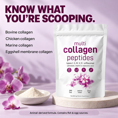 Multi Collagen Peptides Powder for Women – Types I, II, III, V & X – 454g